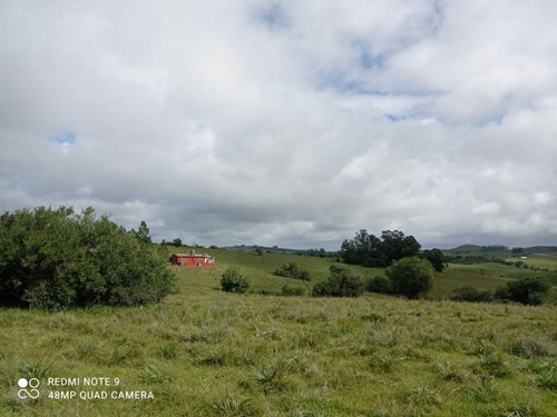 Campo Proximo A Pueblo Eden- Ref: 30755