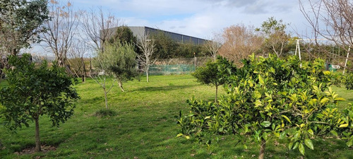 Imagen 5 de 30 de Quinta - Gualeguaychu