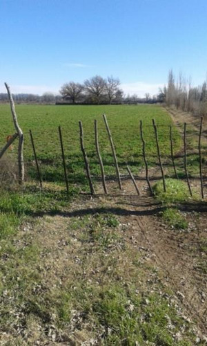 Imagen 3 de 4 de Fracción De 3.3 Hectáreas En Mendoza. Ideal Glamping
