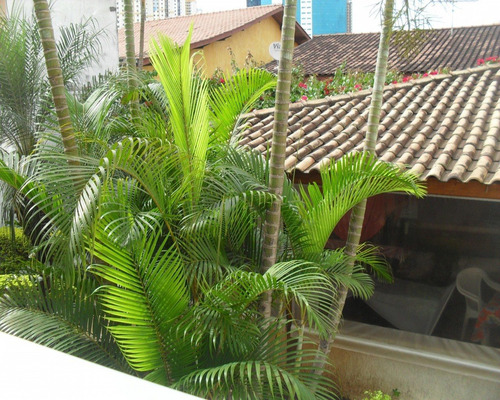Imagem 29 de 30 de Casa - Cl0189 - 32298013