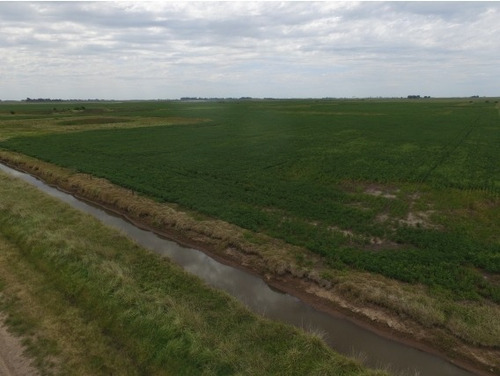 Imagen 5 de 6 de Vendo Campo 30ha/ Bermúdez (pdo. De Lincoln)