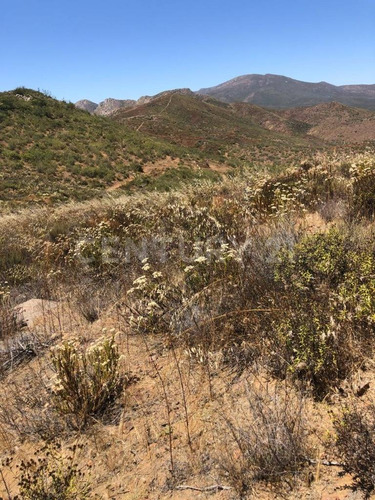 En Venta: Terreno Rustico En Valle De Guadalupe, En Ensenada, B.c.