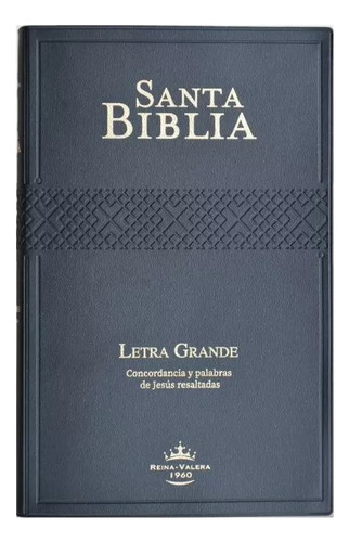 Biblia Rvr1960 Mediana L Grande Vinil Negro 12pt Rvr062cpjr