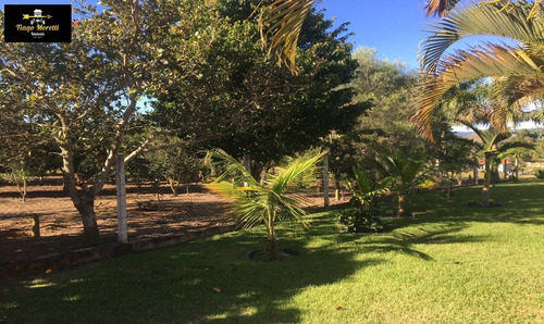 Imagem 11 de 30 de Excelente Chácara À Venda Em Boituva - Ch00079 - 34078339