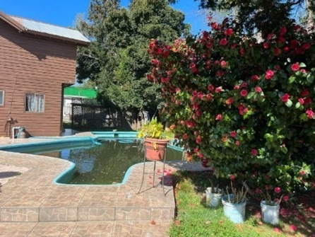 Imagen 6 de 11 de Venta Cabañas Pucón - 6 Cabañas + Casa