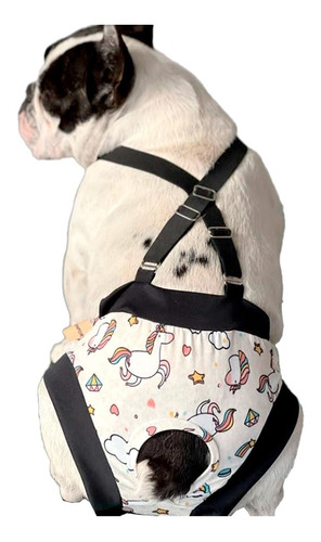Imagen 9 de 10 de Bodys Sanitarios Bombachas Para Perros O Gatos Premium Star