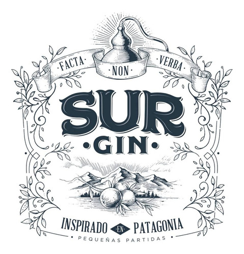 Sur Gin X750ml - Inspirado En La Patagonia Pequeñas Partidas