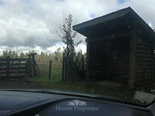 Parcela En Venta 5,5 Hectáreas, Ñancul A Pitrufquén