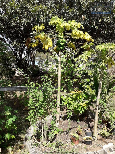 Imagem 3 de 20 de Chácaras À Venda Em Piracaia/sp - Compre O Seu Chácaras Aqui! - 1474885