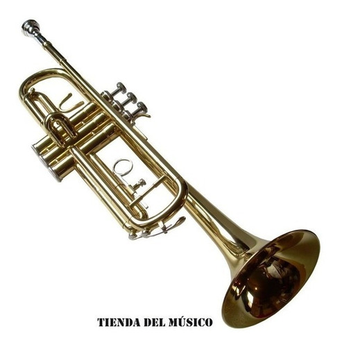 Trompeta Conductor M5210 Dorada Estuche Semi Duro Boquilla /