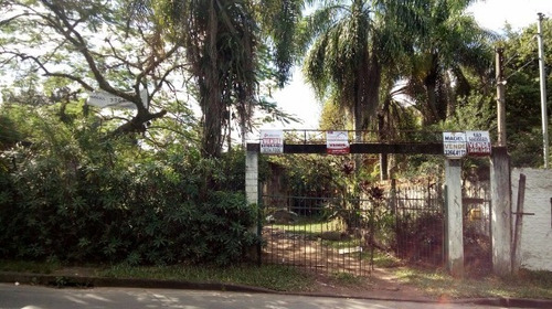 Terreno Em Belém Velho - Mi16394
