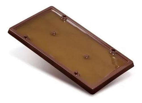 Imagen 1 de 5 de Set De 2 Trampa Adhesivas Rata Raton 23 X 12 Cms No Veneno
