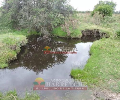 Chacra 5 Has En Venta, Casa 3 Dorm, Cno Gigante