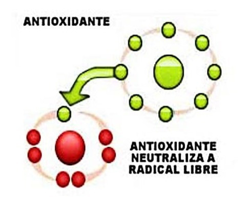 Lycopene Licopeno Antioxidante