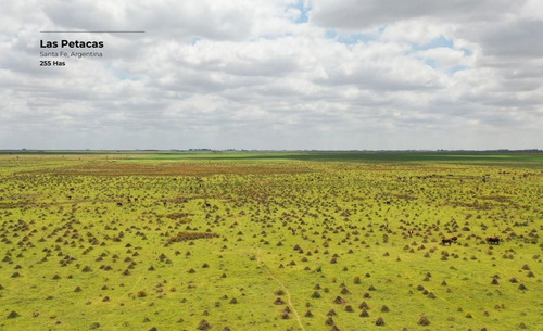 Campo De 255 Hectáreas En Las Petacas, Santa Fe