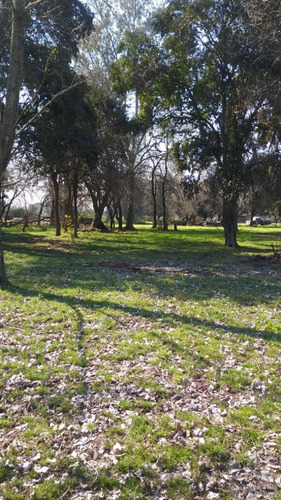 Imagen 5 de 8 de Lotes Privados Barrio Abierto En Canning