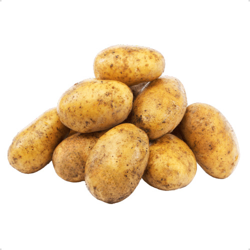 Batata Branca Inglesa Da Terra Selecionada Escovada Saco 5kg