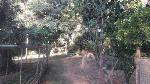 Imagem 12 de 30 de Chácara À Venda Em Vale Verde - Ch007501