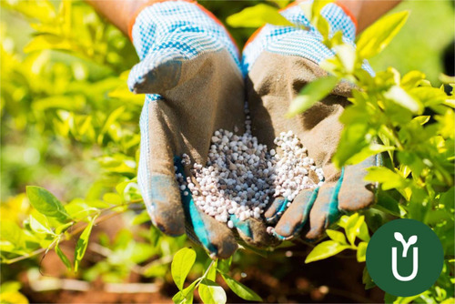 Imagen 3 de 7 de Fertilizante Urea - 2 Kg - Ideal Césped Plantas Verdes