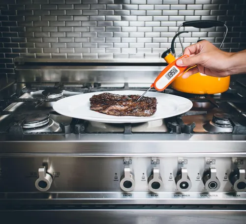 Termómetro Para Carne Digital Instantáneo Javelin De Lava.
