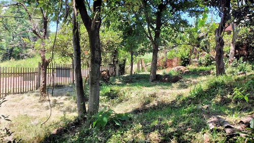 Imagen 4 de 13 de Muy Buen Terreno Para Inversión