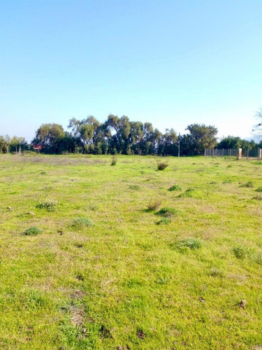 Parcela En Venta En Olmué