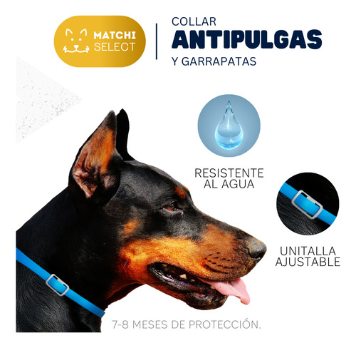 2pack Collar Antipulgas Premium
