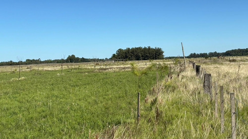 Lote De 72.5x82.5 En Veronica, Punta Indio