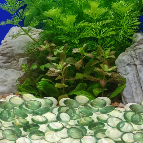 Rocas De Río Para Plantas, Cuentas Planas, Pecera De Piedra