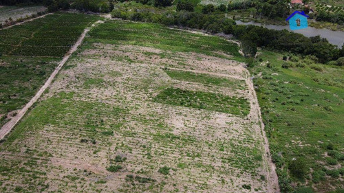 Imagem 27 de 30 de Granja Com 13 Hectares E Plantação Rentabilizando - Ch0065