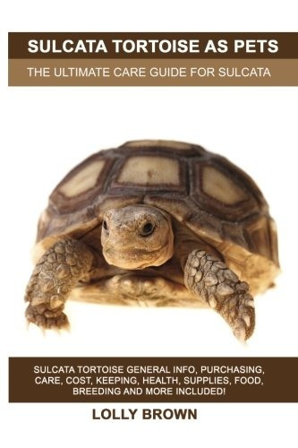 Tortuga Sulcata Como Mascotas Tortuga Sulcata Informacion Ge