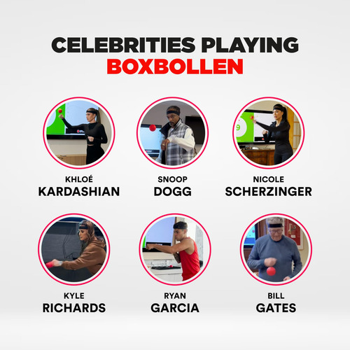 Boxbollen - Juego Completo Original Con La Licencia De La Ap