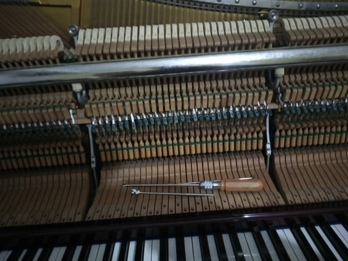 Afinacion Y Regulacion De Pianos (montevideo/durazno)