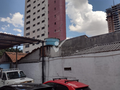 Imagem 5 de 8 de Terreno À Venda Em Tatuapé - Te003862