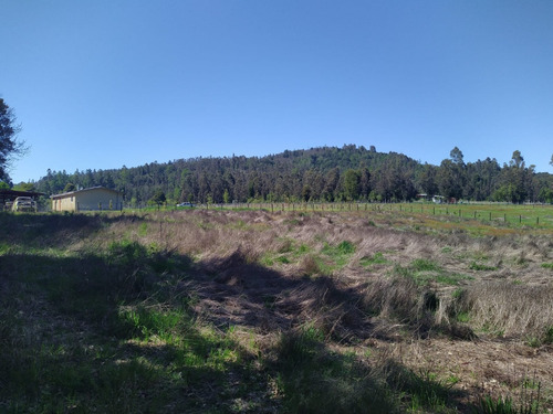 Hermosa Parcela En Venta En Gorbea