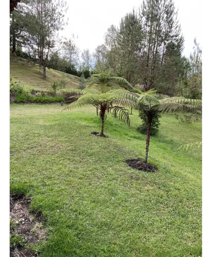 Venta De Encantadora Casa Campestre En Oriente - Don Diego (el Retiro)