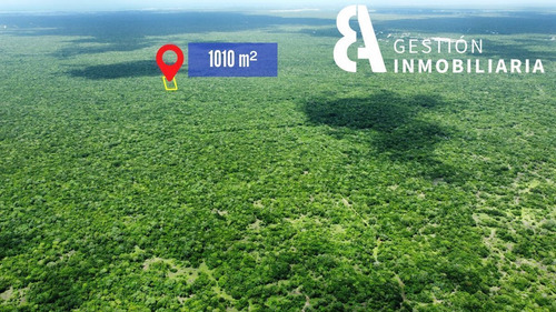 Terreno De Inversión En Venta En Komchen, Yucatán. Ctv233