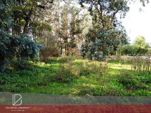 Venta | Lote | 1600 M2 | Punto Tandil