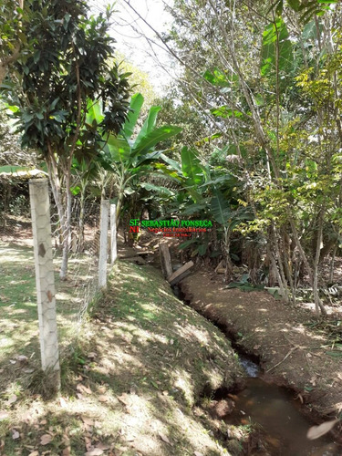 Imagem 11 de 15 de Chácara 6 Mil M² Em Cachoeira De Minas - Mg - 1999
