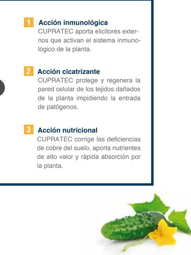 Cupratec 1lt Cobre Sistémico Bactericida Ecológico Biodegrad