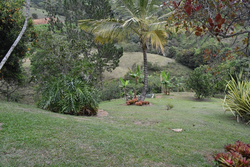 Imagen 8 de 26 de Finca En Barbosa Popalito
