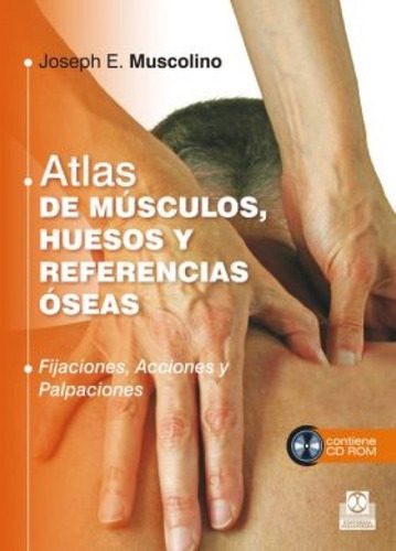 Muscolino Atlas De Músculos, Huesos Y Referencias Óseas