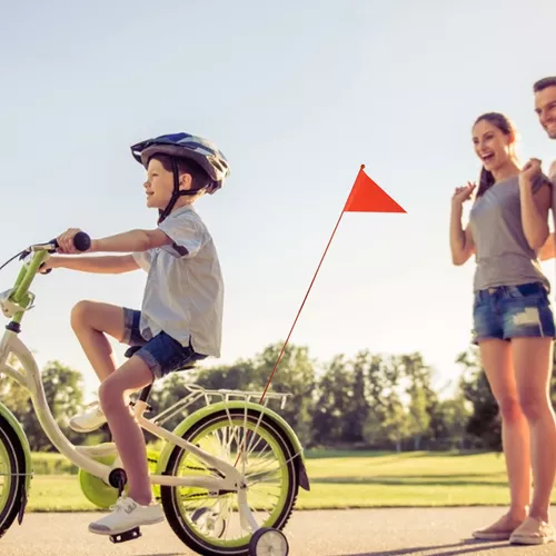  Bandera de seguridad para bicicleta con mástil, bandera de ATV  ajustable, bandera impermeable para carrito de golf, accesorios (morado) :  Deportes y Actividades al Aire Libre