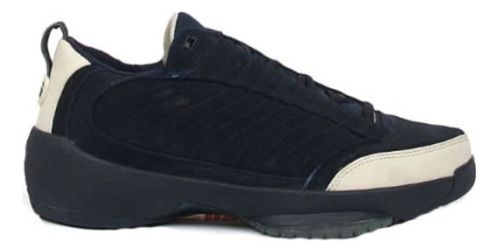 Zapatillas Jordan 19 Og Low Obsidian Vapor 308513-421   