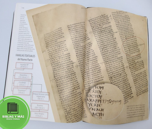 Imagen 8 de 9 de Biblia Textual Iv Edición Vinil Negro