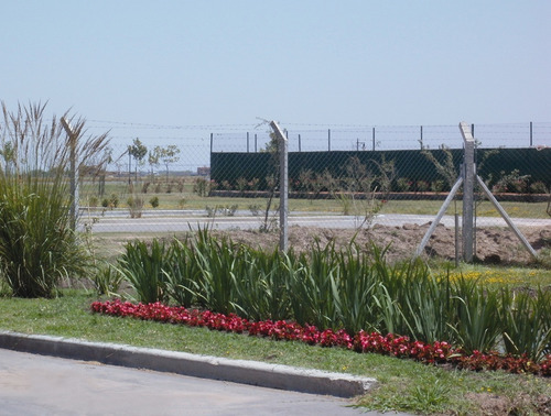 Imagen 12 de 14 de Lote De 800 Metros Con Acceso Exclusivo A La Laguna