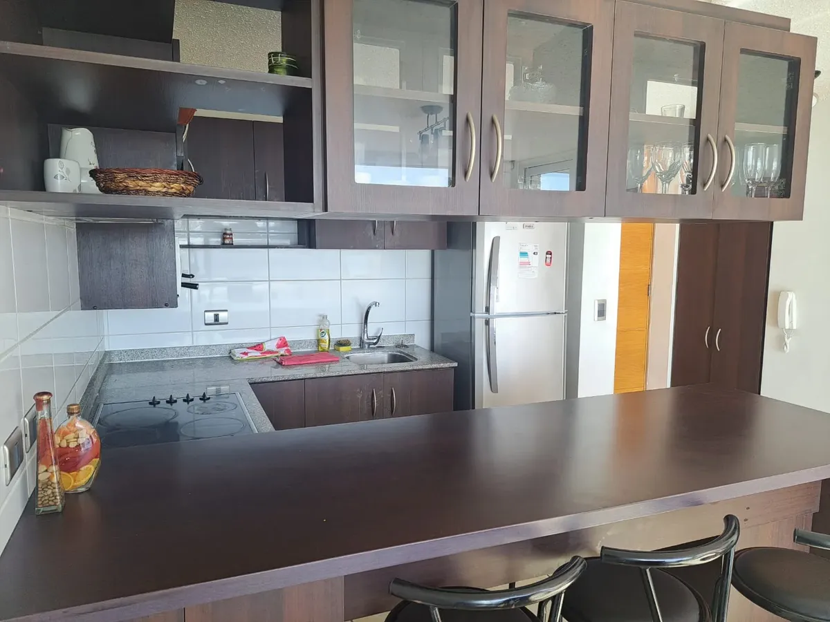 Imagen 5 de 15 de Arriendo Departamento Por Meses En Serena