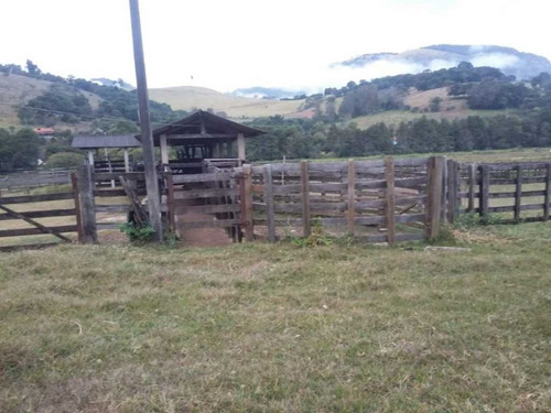 Imagem 7 de 29 de Fazenda De Gado Com 263 Hectares Itajuba - 36525