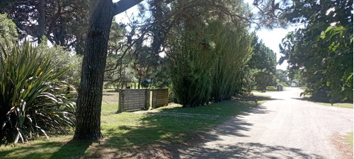 Dueño. Apto Edificio Con Tereno Vecino. Casa De 1 Dormitorio Y Otra (contenedor) De 2 Dormitorios. Playa Brava Muy Cerca. Zona De Gran Valorización Y Muy Tranquila, Ideal Todo El Año. Rincón Del Indio