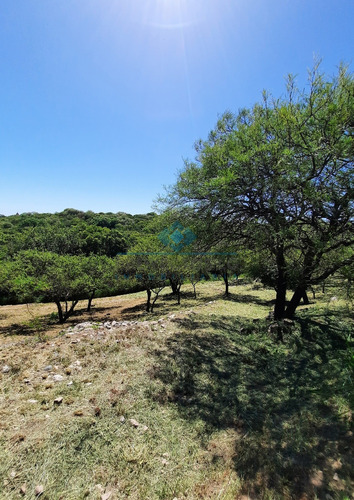 Terreno En Venta Colinas De La Granja, La Granja 